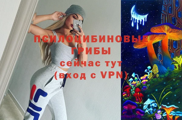 твердый Абинск