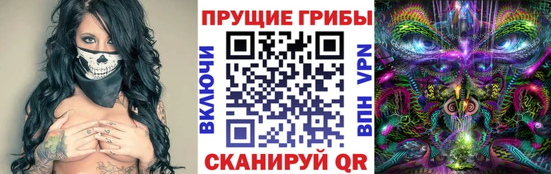 блэк спрут рабочий сайт  Котово  Галлюциногенные грибы Psilocybe 
